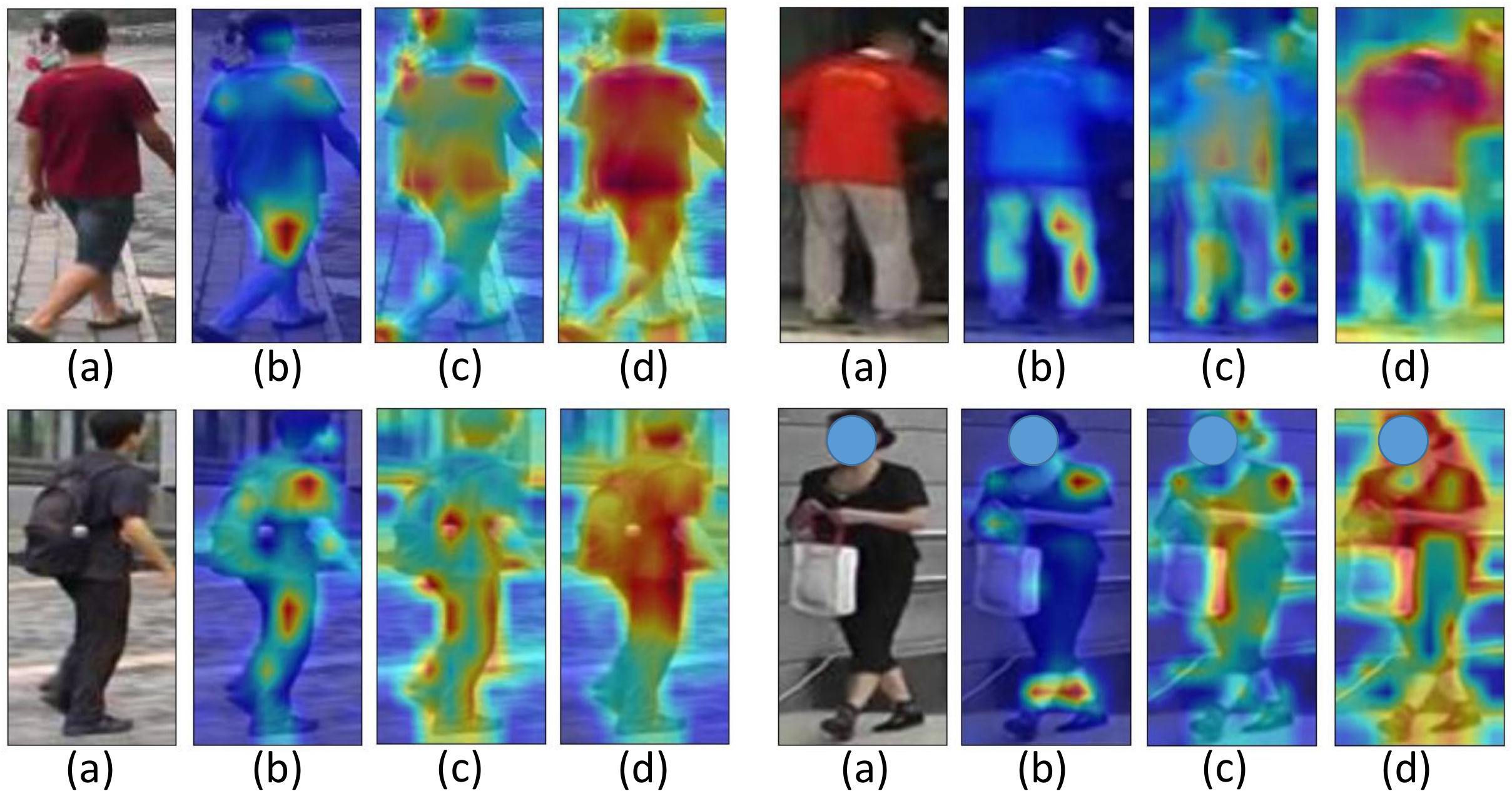 Visualization of CLIP-ReID attention areas