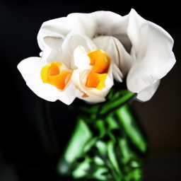 Flower layout sample