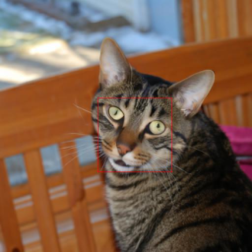 Cat SR3 super-resolution result