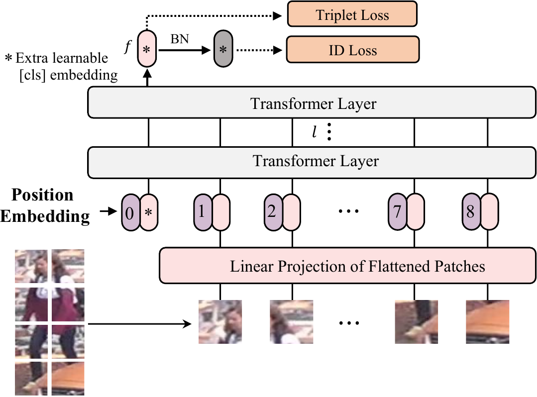 Transformer-based strong baseline framework